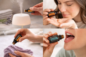 Basisöle ätherisch Weihrauch, Lemon Balance